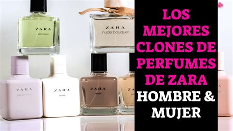 perfumes zara y sus clones|colosales similares a zara.